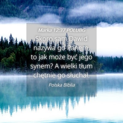 Picture 04 - Marka 12:37 POLUBG - Skoro sam Dawid nazywa go Panem, to jak może - Bible Verse Picture