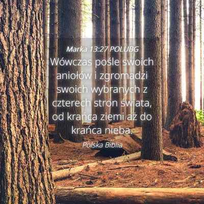 Picture 04 - Marka 13:27 POLUBG - Wówczas pośle swoich aniołów i zgromadzi - Bible Verse Picture
