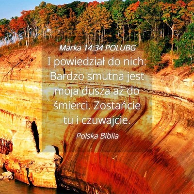 Picture 04 - Marka 14:34 POLUBG - I powiedział do nich: Bardzo smutna jest moja - Bible Verse Picture