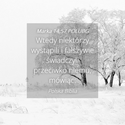 Picture 04 - Marka 14:57 POLUBG - Wtedy niektórzy wystąpili i fałszywie - Bible Verse Picture
