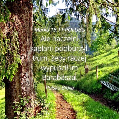 Picture 04 - Marka 15:11 POLUBG - Ale naczelni kapłani podburzyli tłum, żeby - Bible Verse Picture