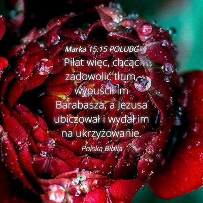 Picture 04 - Marka 15:15 POLUBG - Piłat więc, chcąc zadowolić tłum, wypuścił - Bible Verse Picture