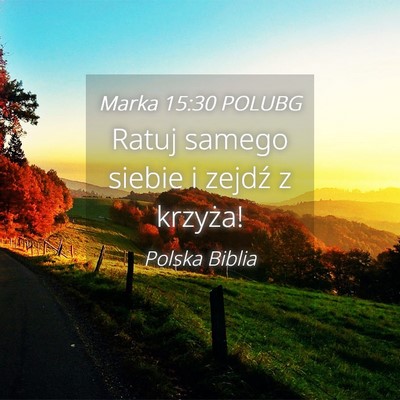 Picture 04 - Marka 15:30 POLUBG - Ratuj samego siebie i zejdź z - Bible Verse Picture