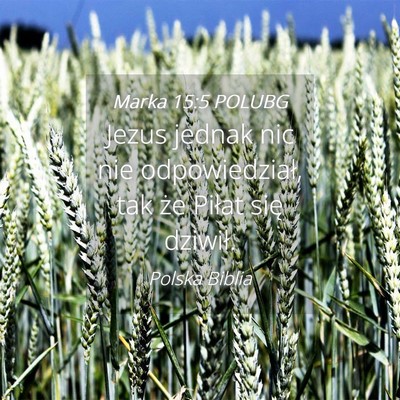 Picture 04 - Marka 15:5 POLUBG - Jezus jednak nic nie odpowiedział, tak że - Bible Verse Picture