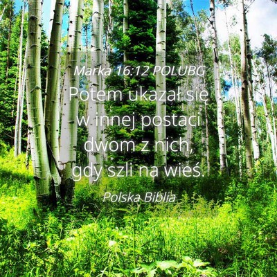 Picture 04 - Marka 16:12 POLUBG - Potem ukazał się w innej postaci dwom z nich, - Bible Verse Picture