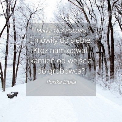 Picture 04 - Marka 16:3 POLUBG - I mówiły do siebie: Któż nam odwali kamień - Bible Verse Picture