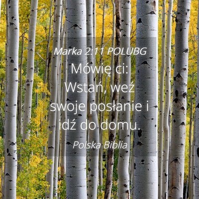 Picture 04 - Marka 2:11 POLUBG - Mówię ci: Wstań, weź swoje posłanie i idź - Bible Verse Picture