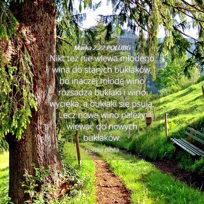 Picture 04 - Marka 2:22 POLUBG - Nikt też nie wlewa młodego wina do starych - Bible Verse Picture