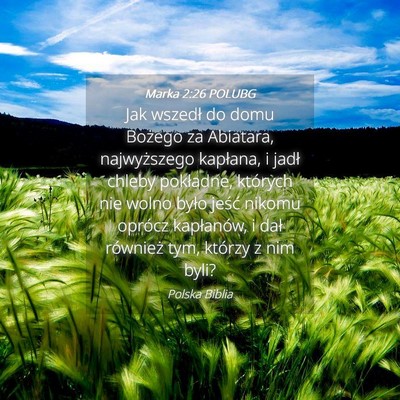 Picture 04 - Marka 2:26 POLUBG - Jak wszedł do domu Bożego za Abiatara, - Bible Verse Picture