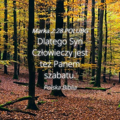 Picture 04 - Marka 2:28 POLUBG - Dlatego Syn Człowieczy jest też Panem - Bible Verse Picture