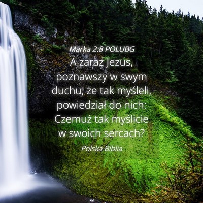 Picture 04 - Marka 2:8 POLUBG - A zaraz Jezus, poznawszy w swym duchu, że tak - Bible Verse Picture