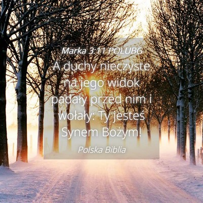 Picture 04 - Marka 3:11 POLUBG - A duchy nieczyste na jego widok padały przed nim - Bible Verse Picture