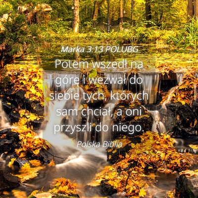 Picture 04 - Marka 3:13 POLUBG - Potem wszedł na górę i wezwał do siebie tych, - Bible Verse Picture