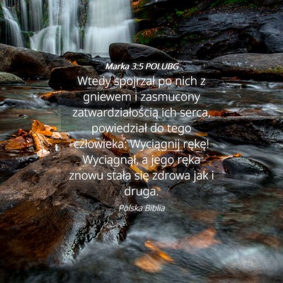 Picture 04 - Marka 3:5 POLUBG - Wtedy spojrzał po nich z gniewem i zasmucony - Bible Verse Picture