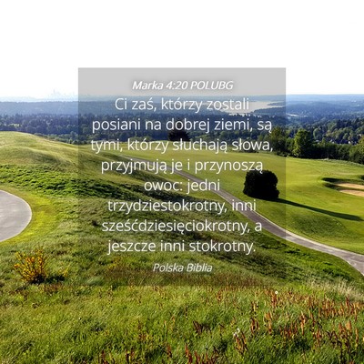 Picture 04 - Marka 4:20 POLUBG - Ci zaś, którzy zostali posiani na dobrej ziemi, - Bible Verse Picture