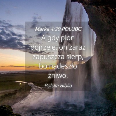 Picture 04 - Marka 4:29 POLUBG - A gdy plon dojrzeje, on zaraz zapuszcza sierp, bo - Bible Verse Picture