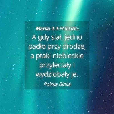 Picture 04 - Marka 4:4 POLUBG - A gdy siał, jedno padło przy drodze, a ptaki - Bible Verse Picture