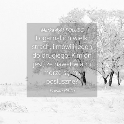 Picture 04 - Marka 4:41 POLUBG - I ogarnął ich wielki strach, i mówili jeden do - Bible Verse Picture