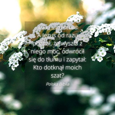 Picture 04 - Marka 5:30 POLUBG - A Jezus od razu poznał, że wyszła z niego moc, - Bible Verse Picture