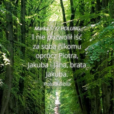 Picture 04 - Marka 5:37 POLUBG - I nie pozwolił iść za sobą nikomu oprócz - Bible Verse Picture