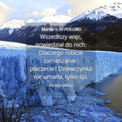Picture 04 - Marka 5:39 POLUBG - Wszedłszy więc, powiedział do nich: Dlaczego - Bible Verse Picture