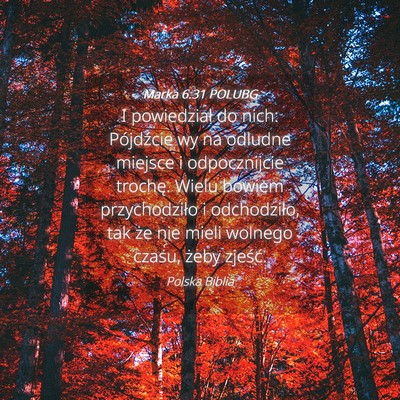 Picture 04 - Marka 6:31 POLUBG - I powiedział do nich: Pójdźcie wy na odludne - Bible Verse Picture