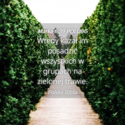 Picture 04 - Marka 6:39 POLUBG - Wtedy kazał im posadzić wszystkich w grupach na - Bible Verse Picture