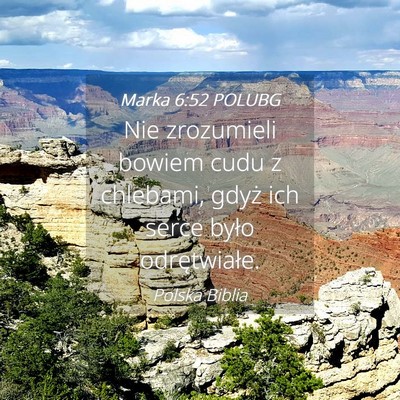 Picture 04 - Marka 6:52 POLUBG - Nie zrozumieli bowiem cudu z chlebami, gdyż ich - Bible Verse Picture