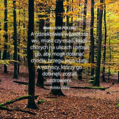 Picture 04 - Marka 6:56 POLUBG - A gdziekolwiek wszedł, do wsi, miast czy osad, - Bible Verse Picture