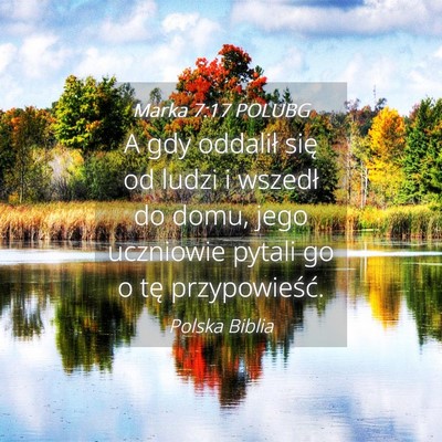 Picture 04 - Marka 7:17 POLUBG - A gdy oddalił się od ludzi i wszedł do domu, - Bible Verse Picture