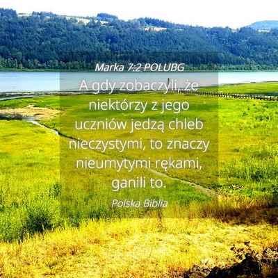 Picture 04 - Marka 7:2 POLUBG - A gdy zobaczyli, że niektórzy z jego uczniów - Bible Verse Picture