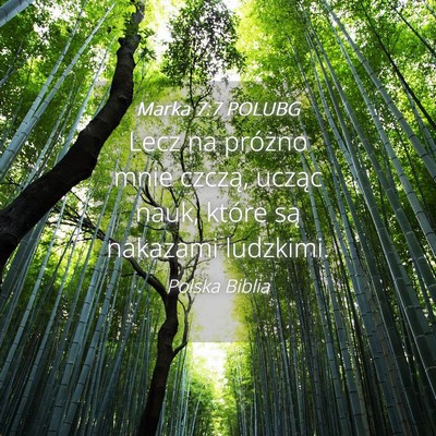 Picture 04 - Marka 7:7 POLUBG - Lecz na próżno mnie czczą, ucząc nauk, które - Bible Verse Picture