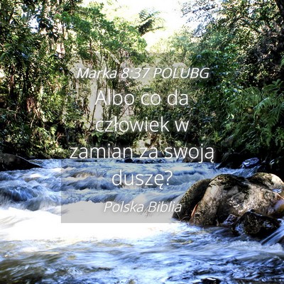 Picture 04 - Marka 8:37 POLUBG - Albo co da człowiek w zamian za swoją - Bible Verse Picture