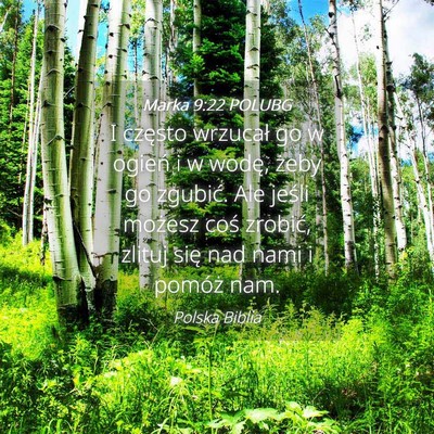 Picture 04 - Marka 9:22 POLUBG - I często wrzucał go w ogień i w wodę, żeby - Bible Verse Picture