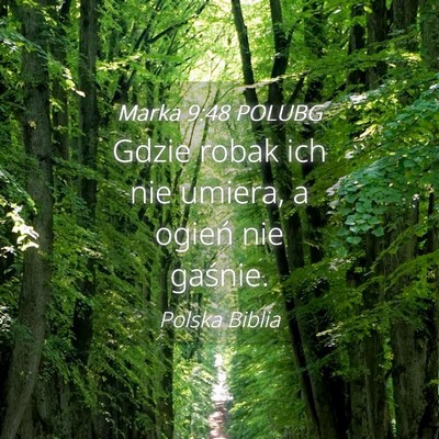 Picture 04 - Marka 9:48 POLUBG - Gdzie robak ich nie umiera, a ogień nie - Bible Verse Picture