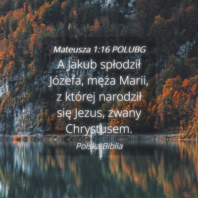 Picture 04 - Mateusza 1:16 POLUBG - A Jakub spłodził Józefa, męża Marii, z - Bible Verse Picture
