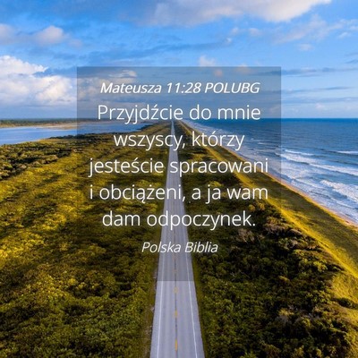 Picture 04 - Mateusza 11:28 POLUBG - Przyjdźcie do mnie wszyscy, którzy jesteście - Bible Verse Picture