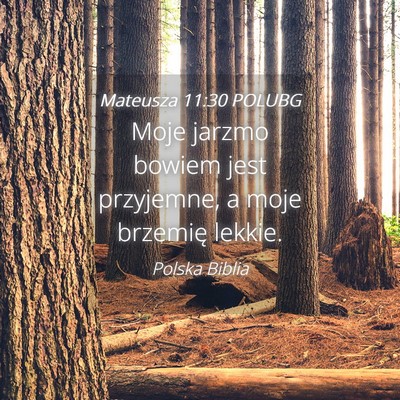Picture 04 - Mateusza 11:30 POLUBG - Moje jarzmo bowiem jest przyjemne, a moje - Bible Verse Picture