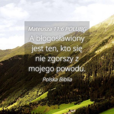 Picture 04 - Mateusza 11:6 POLUBG - A błogosławiony jest ten, kto się nie zgorszy - Bible Verse Picture