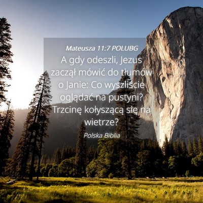 Picture 04 - Mateusza 11:7 POLUBG - A gdy odeszli, Jezus zaczął mówić do tłumów - Bible Verse Picture