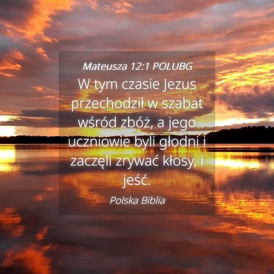 Picture 04 - Mateusza 12:1 POLUBG - W tym czasie Jezus przechodził w szabat wśród - Bible Verse Picture