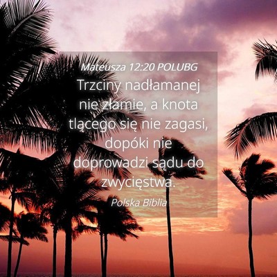 Picture 04 - Mateusza 12:20 POLUBG - Trzciny nadłamanej nie złamie, a knota tlącego - Bible Verse Picture