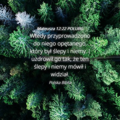 Picture 04 - Mateusza 12:22 POLUBG - Wtedy przyprowadzono do niego opętanego, który - Bible Verse Picture