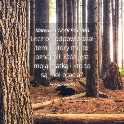 Picture 04 - Mateusza 12:48 POLUBG - Lecz on odpowiedział temu, który mu to - Bible Verse Picture