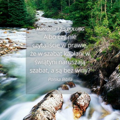 Picture 04 - Mateusza 12:5 POLUBG - Albo czy nie czytaliście w prawie, że w szabat - Bible Verse Picture