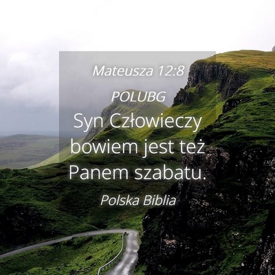 Picture 04 - Mateusza 12:8 POLUBG - Syn Człowieczy bowiem jest też Panem - Bible Verse Picture