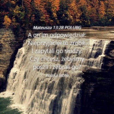 Picture 04 - Mateusza 13:28 POLUBG - A on im odpowiedział: Nieprzyjaciel to zrobił. - Bible Verse Picture