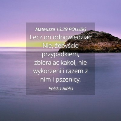 Picture 04 - Mateusza 13:29 POLUBG - Lecz on odpowiedział: Nie, żebyście - Bible Verse Picture
