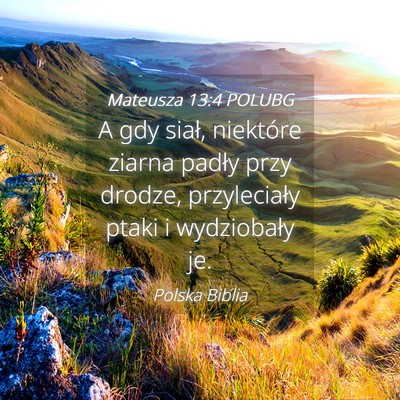 Picture 04 - Mateusza 13:4 POLUBG - A gdy siał, niektóre ziarna padły przy drodze, - Bible Verse Picture