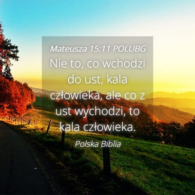 Picture 04 - Mateusza 15:11 POLUBG - Nie to, co wchodzi do ust, kala człowieka, ale - Bible Verse Picture
